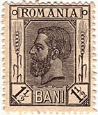 1,5 Bani
