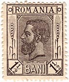 1,5 Bani