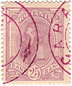 25 Bani