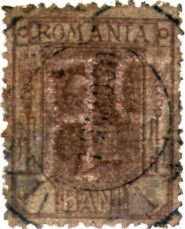 WZ 5